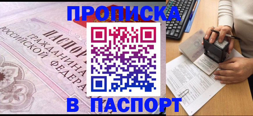 временная регистрация поиск в Бийске